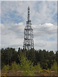 SU8962 : Telecommunications mast, Bagshot Heath by Alan Hunt
