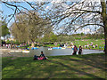 TQ3877 : Greenwich Park boating lake by Stephen Craven