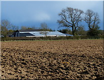 SP5288 : Canaan Farm near Ashby Parva by Mat Fascione