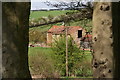 Farm buildings (and hives) at The Poplars