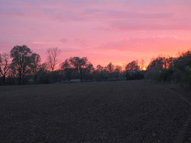Red sky over arable land