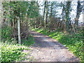 The Cotswold Way towards North Nibley