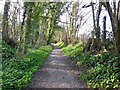 The Cotswold Way towards North Nibley