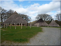 SN1139 : Iron Age village reconstruction at Castell Henllys, Pembrokeshire by Jeremy Bolwell