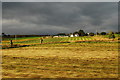 Cut Hay In Bonar Bridge