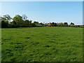 Pasture field and Alton Grange