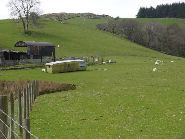 Luxury accommodation for sheep!