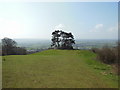 The Cotswold Way at Wotton Hill