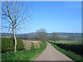 Country road towards Chillingham