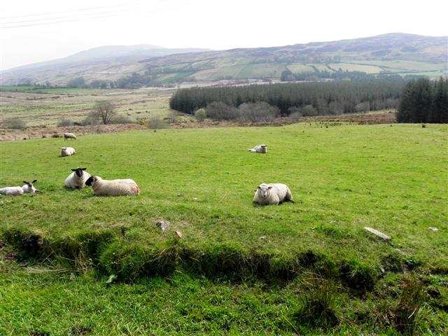 Balix Upper © Kenneth Allen :: Geograph Ireland