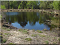 SU9361 : Sapper's Pond, Brentmoor Heath by Alan Hunt