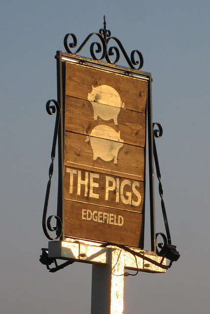 The Pigs at Edgefield © Pauline E :: Geograph Britain and Ireland