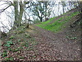 The Cotswold Way towards Blackquarries Hill