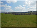 The Cotswold Way at Winterspring Lane