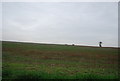 Farmland near Hoaden Row