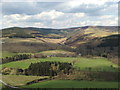 Across the Yarrow Valley from Black Andrew