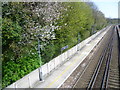 Meopham station from the footbridge