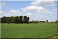 An arable field by Swannybrook Farm