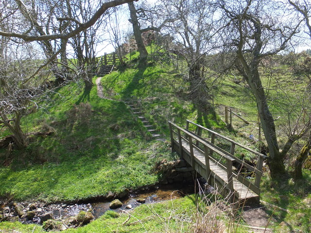 Offa's Dyke Path footbridge