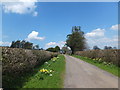 Farm track to The Springs