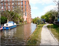SJ9398 : Ashton Canal by Gerald England