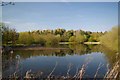 Lake near Little Tottham Hall