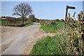 TL8710 : Sheepcotes Lane by Glyn Baker
