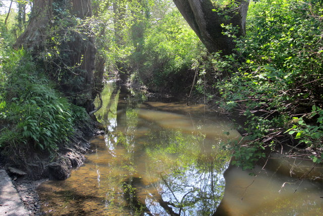 Stream by Paull's Lane © Philip Jeffrey cc-by-sa/2.0 :: Geograph ...