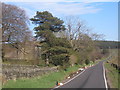 Newly finished roadworks at Cowell House