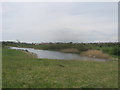 NZ3353 : Angling pond at Herrington Country Park by peter robinson