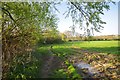 TL8713 : Bridleway Near Wheeler's Farm by Glyn Baker