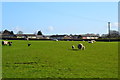 Field and houses in Charminster