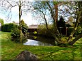 Pond near to Burn