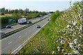 The A43 with blackthorn blossom