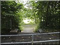 Path to The Pondersa, Oxford Street, Crookesmoor, Sheffield