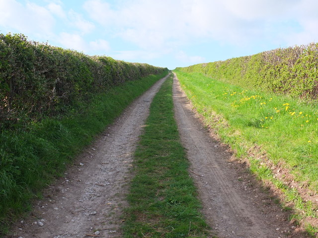 A track forming part of the Ebor Way