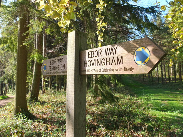 A footpath sign in South Wood