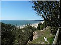 Cliff Top at Highcliffe Castle