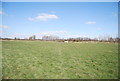 Footpath to Birchwood Rd