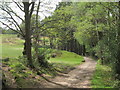 Path through Royal Ashdown Forest Golf Club