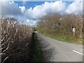 Road to Coldridge from Frogbury