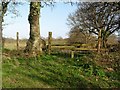 Drop fence, Mount Pleasant Farm, Chalvington