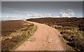 Track above Rothbury