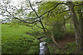 The brook from the footbridge