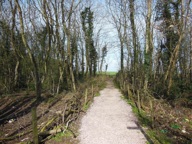 The Cotswold Way in Beacon Lane Plantation