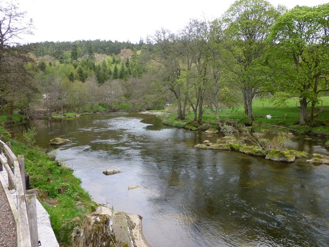 River Coquet below Rothbury