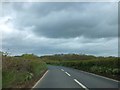 Langabeare Moor: the A386 and woodland near Stockbeare