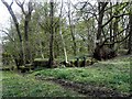 Sluice to former Mill Dam below Burley Woodhead