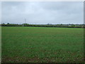 Farmland east of Thurloxton