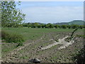 Farmland off Coronation Road